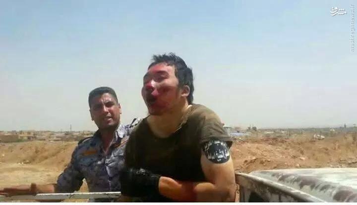 دانلود کده2